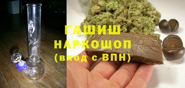 сатива Аркадак