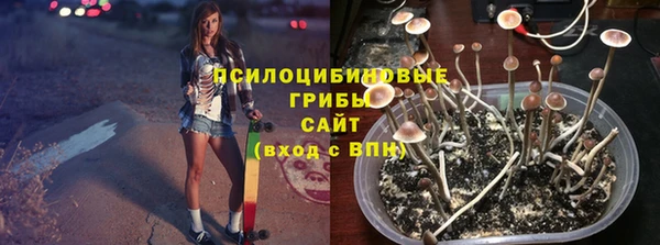 мескалин Арсеньев